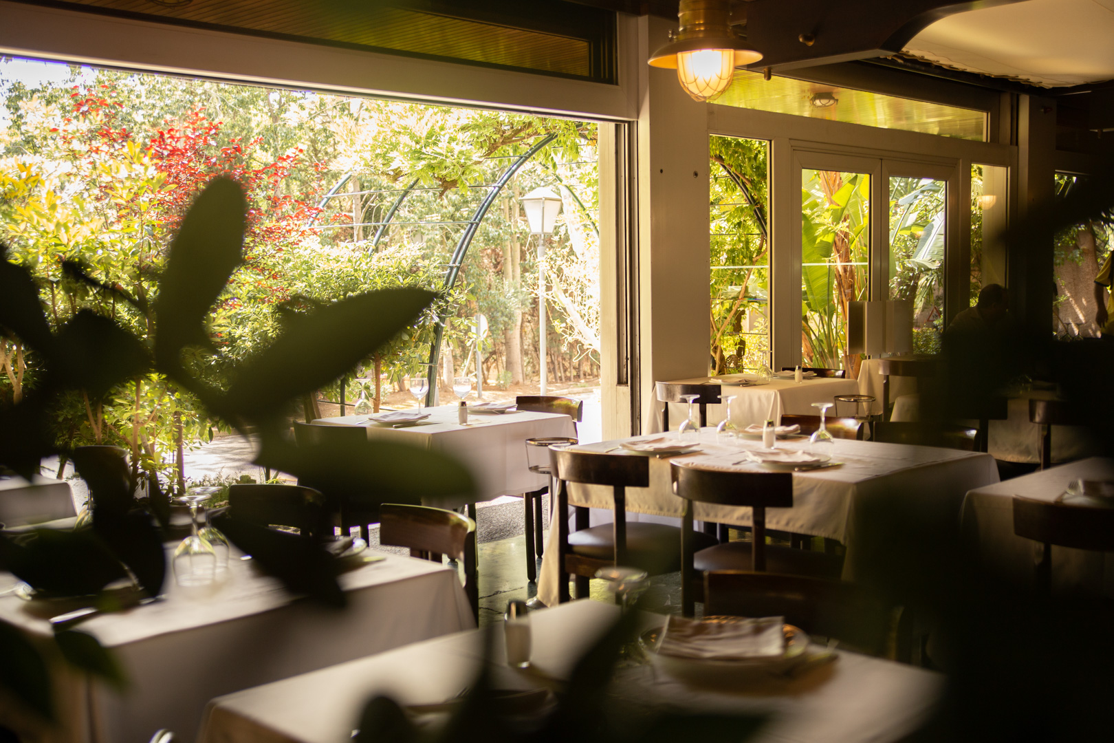The restaurant